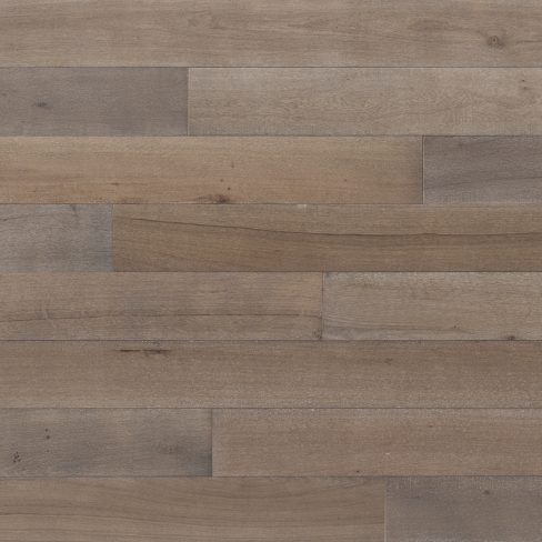 Rovere Europeo Salsedine