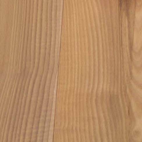 Frassino Maggiore Delle Piccole Dolomiti
