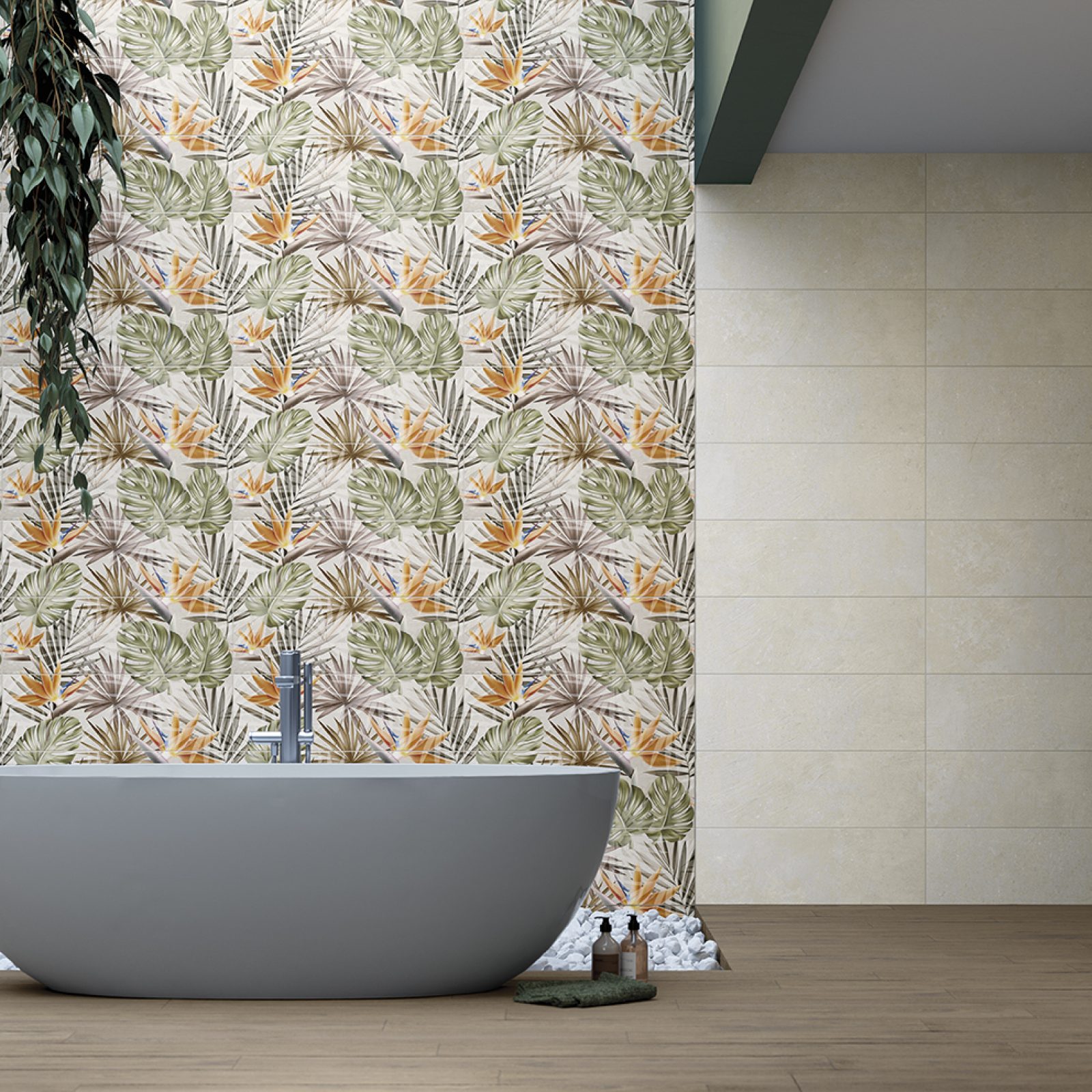 COTTO PETRUS Columbia 3