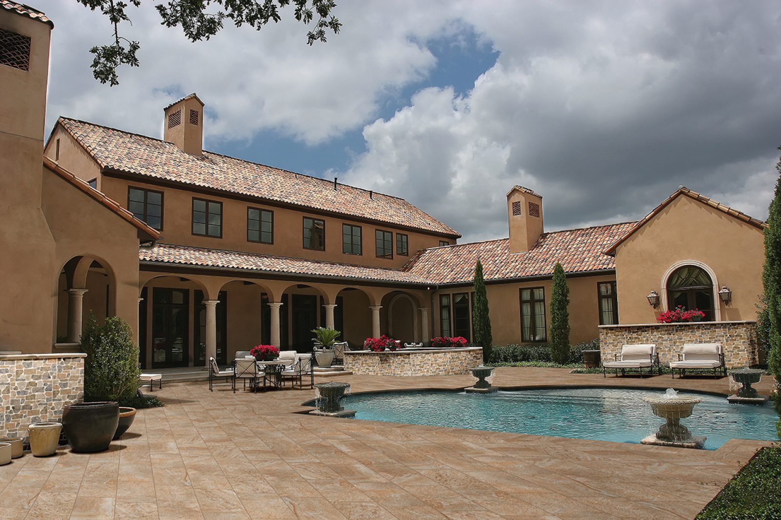 COTTO PETRUS Fossili Out 0