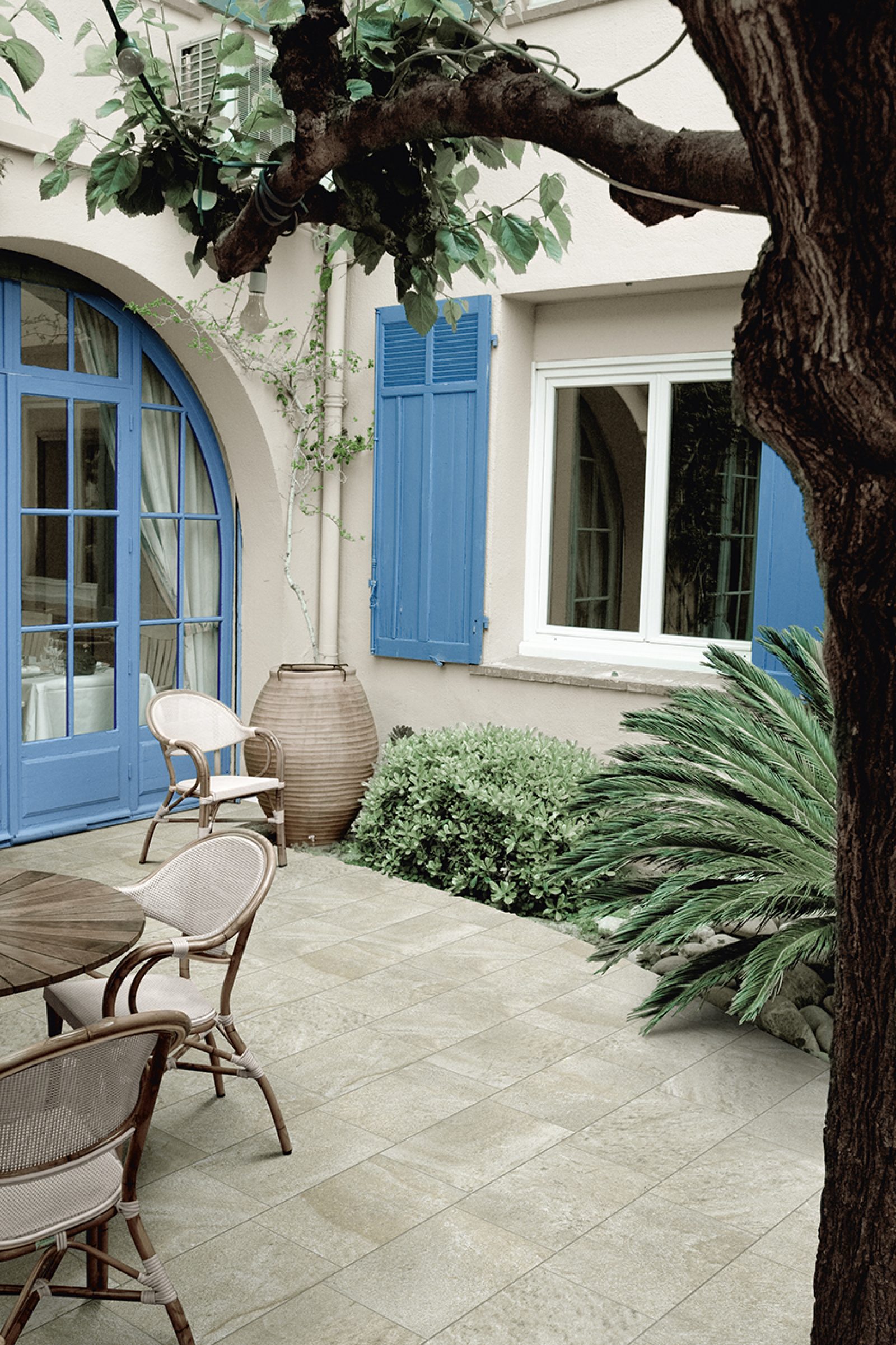 COTTO PETRUS Fossili Out 1