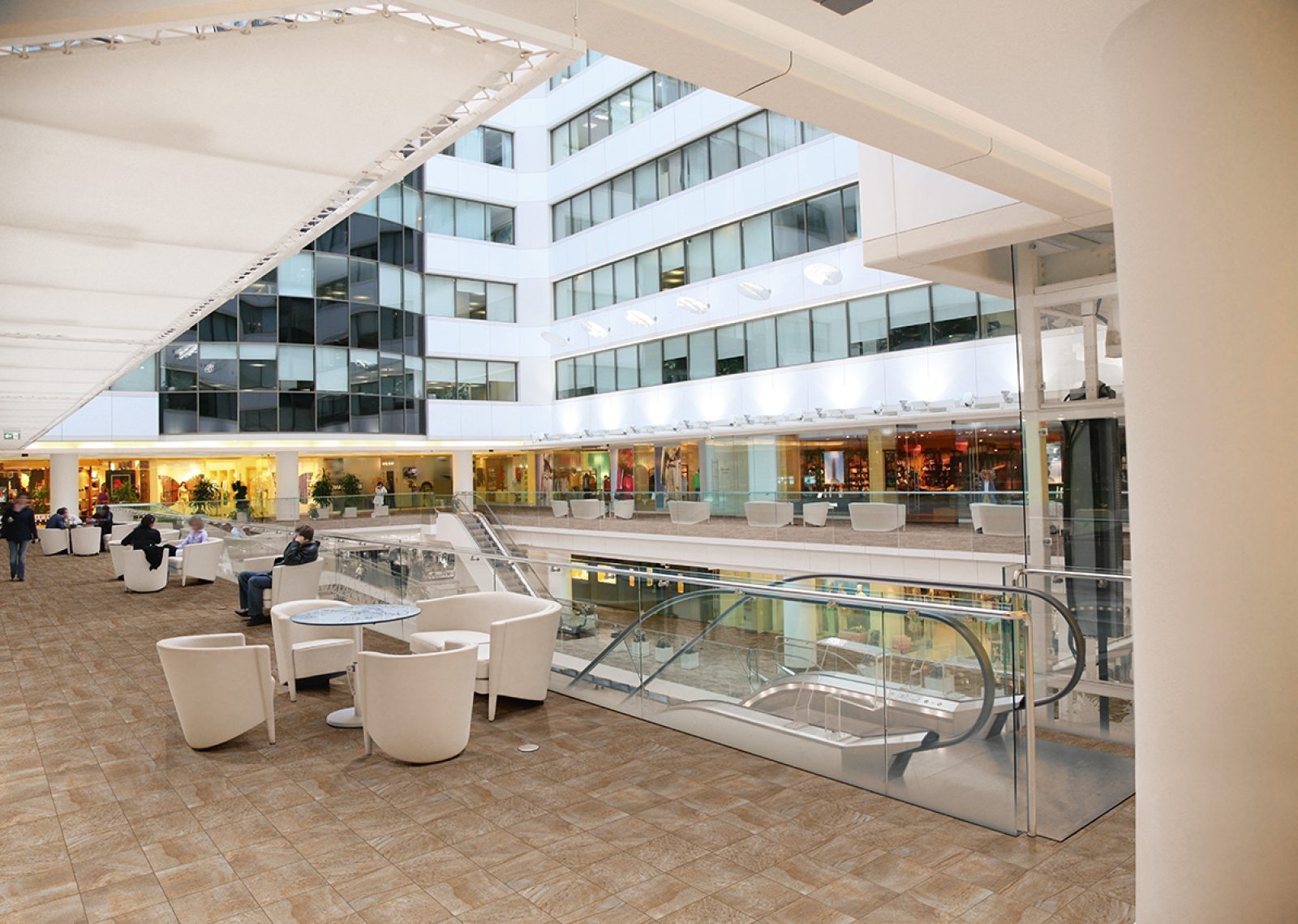 COTTO PETRUS Fossili Out 3