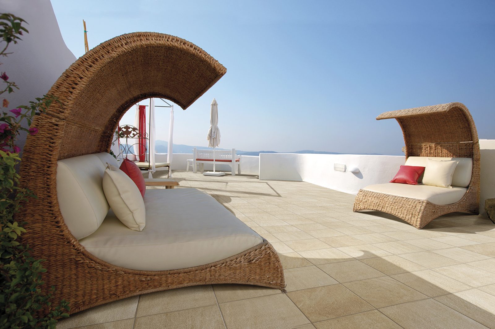 COTTO PETRUS Fossili Out 4