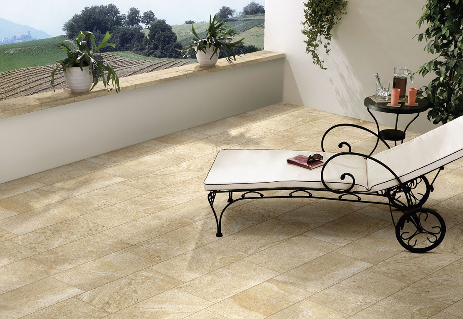 COTTO PETRUS Fossili Out 5