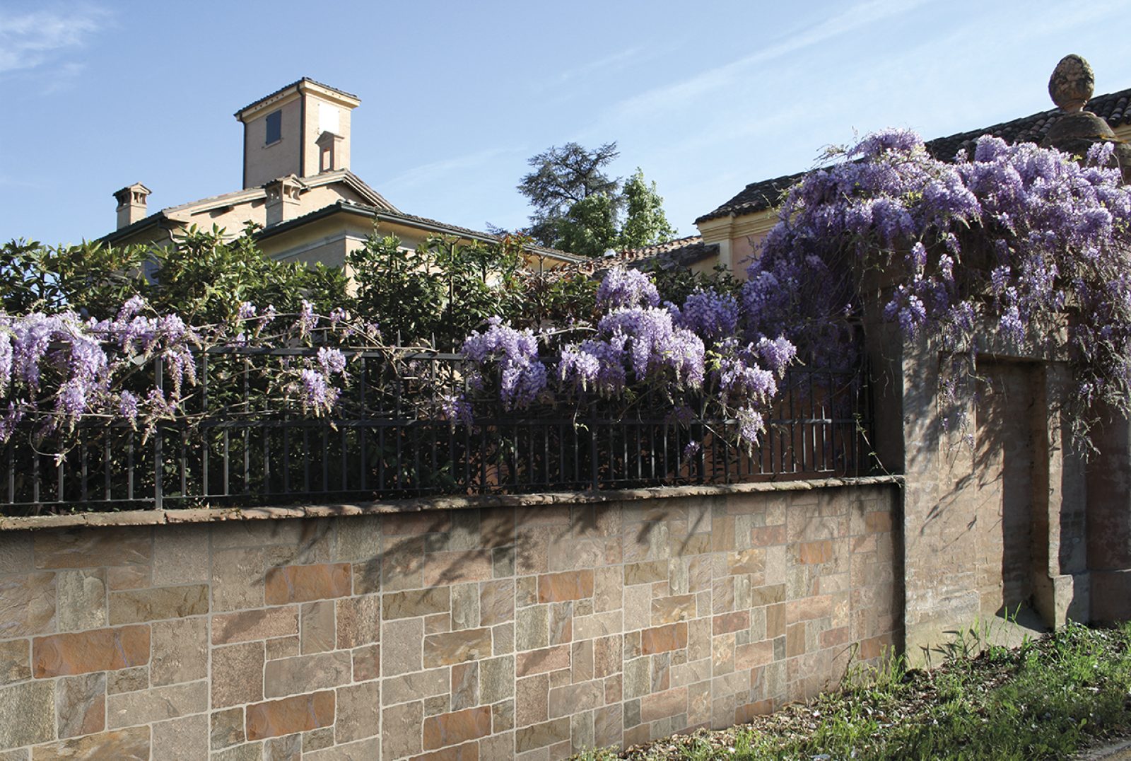 COTTO PETRUS Muro Di Siena 1