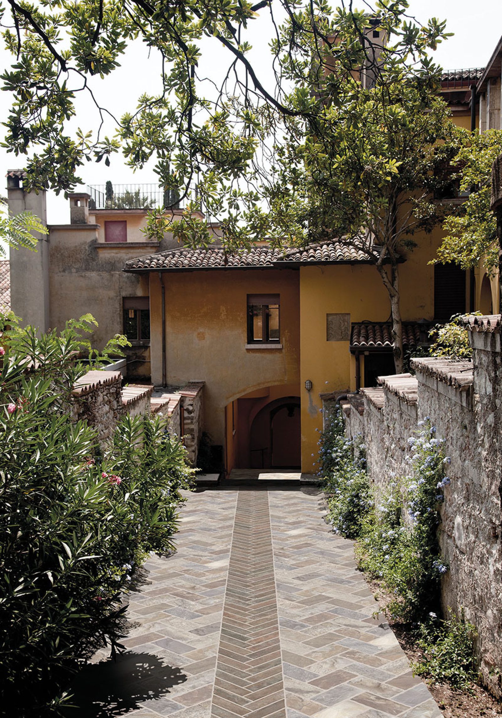 COTTO PETRUS Sassone Out 2