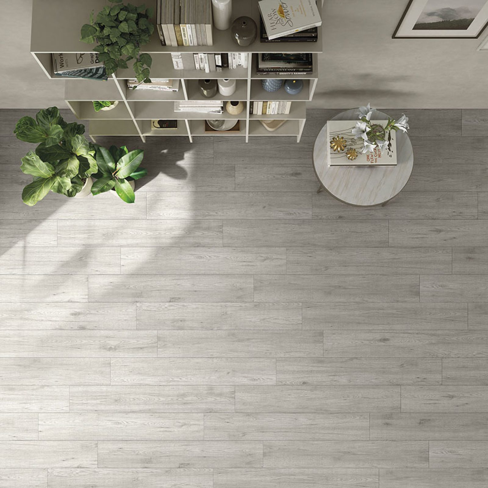 COTTO PETRUS Sierra 4