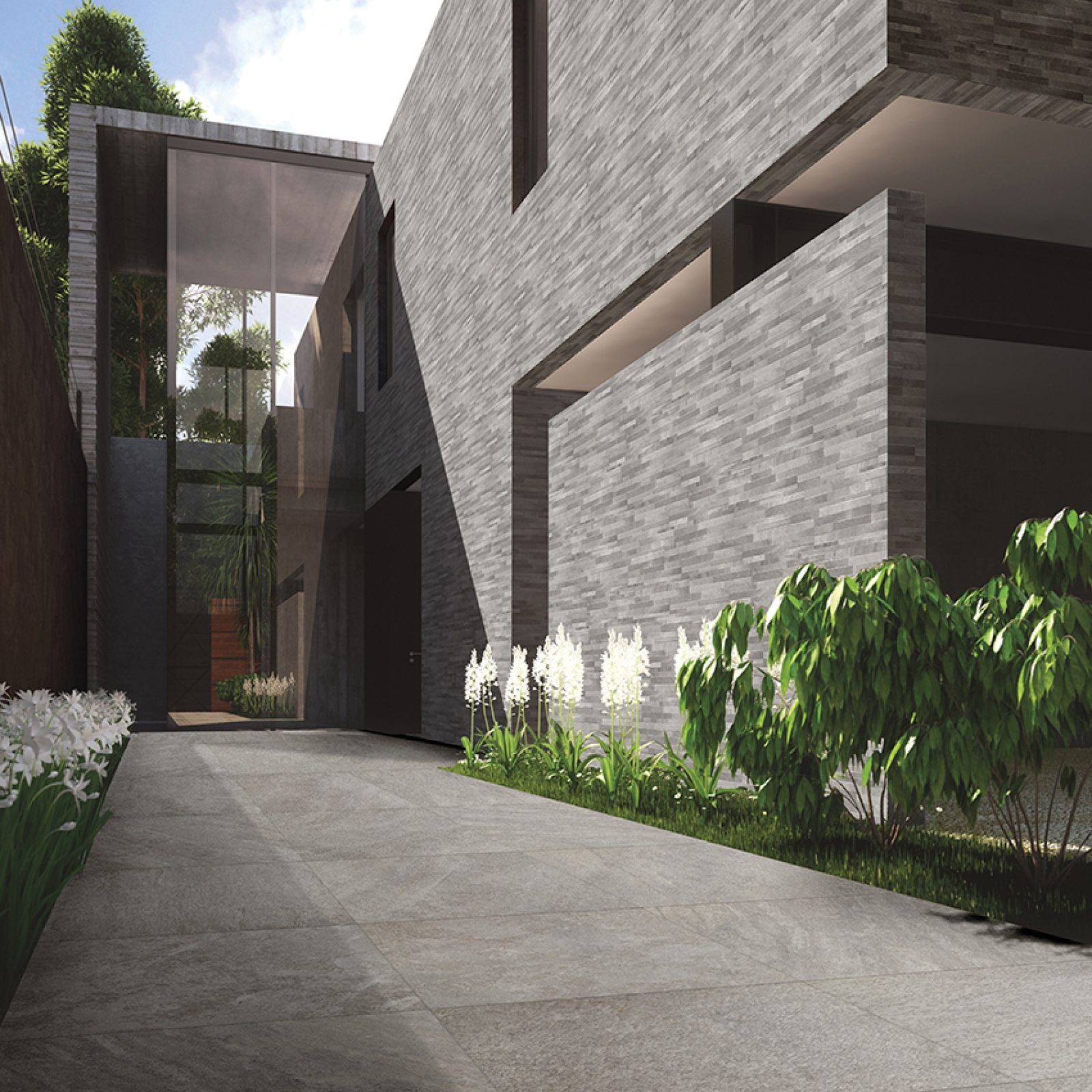 COTTO PETRUS Spaccone 1