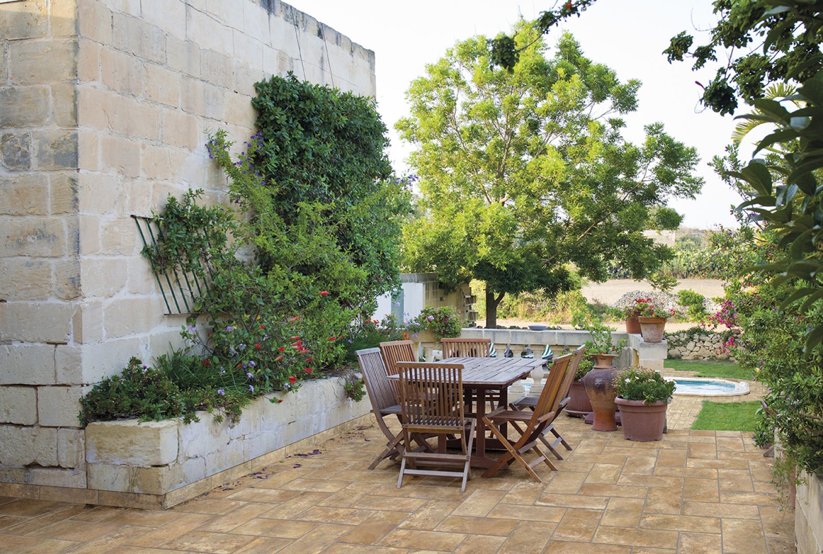 COTTO PETRUS Tavellone In Out 2