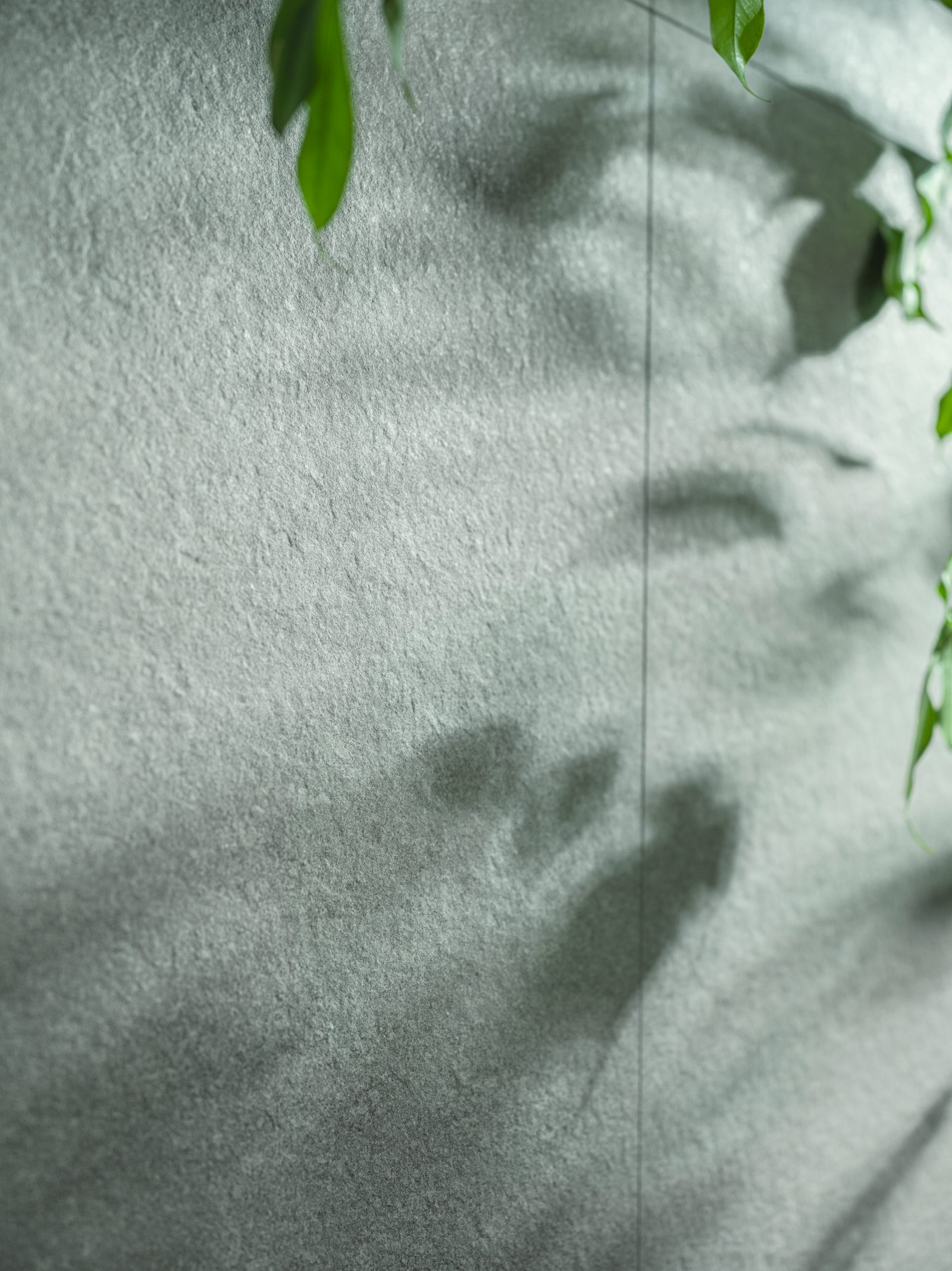 ERGON Elegance Pro 23