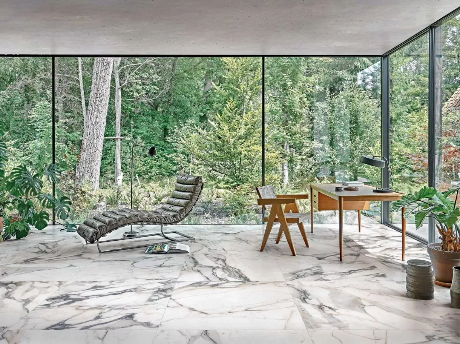 FLORIM Les Origines De Rex 0