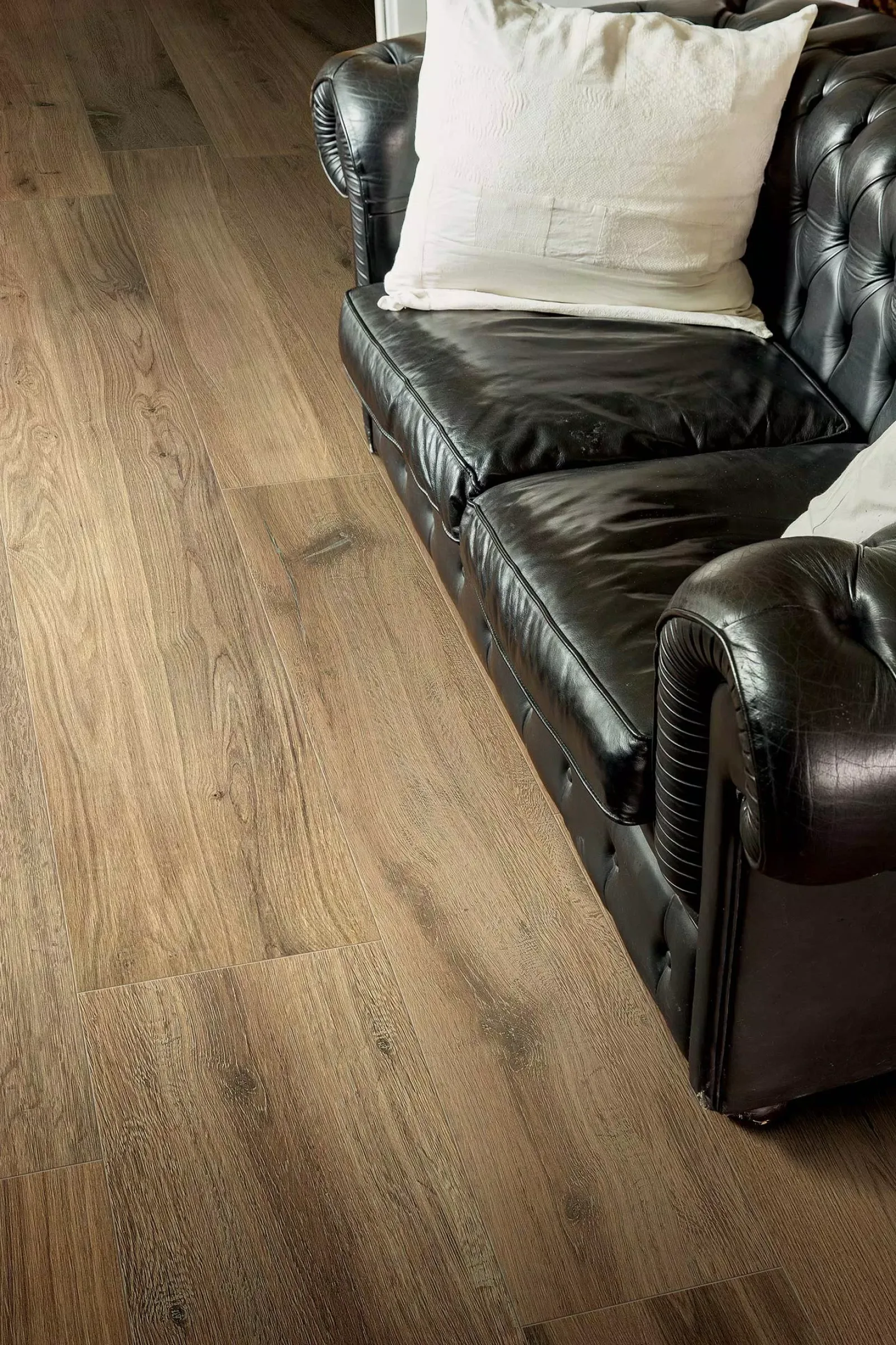 FLORIM Planches De Rex 8