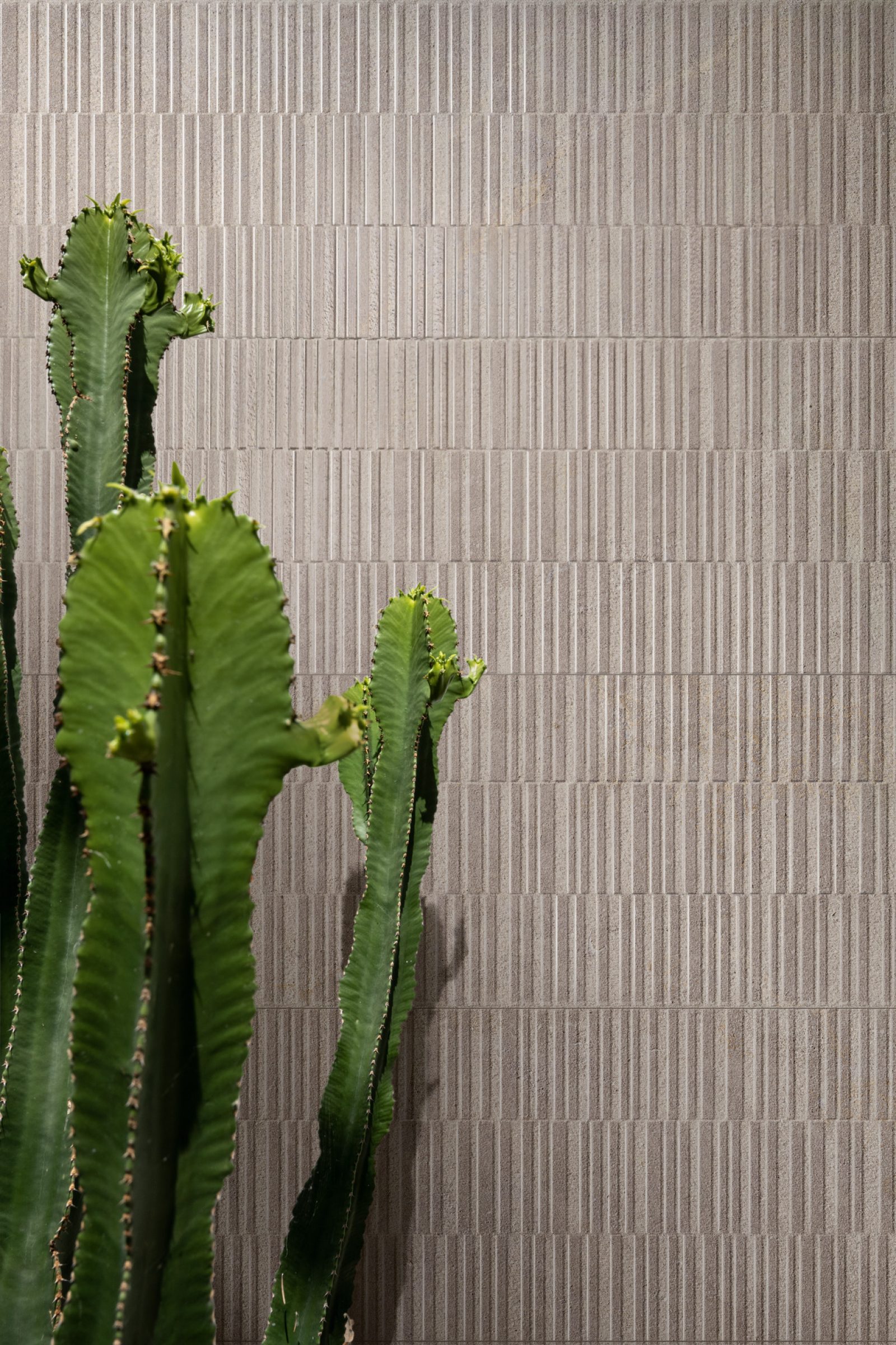 MARAZZI Naturalia 3