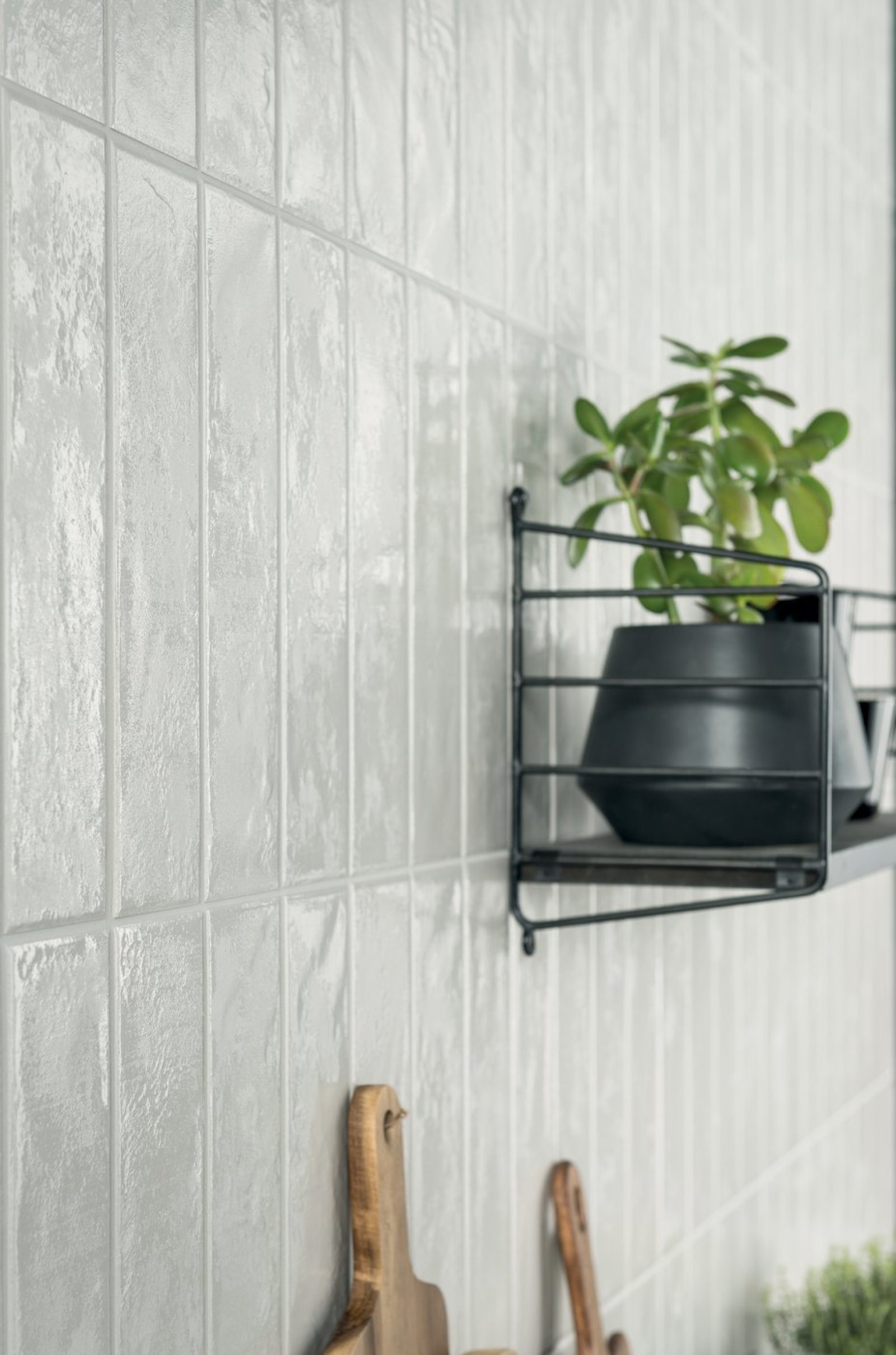 MARCA CORONA Regoli 2