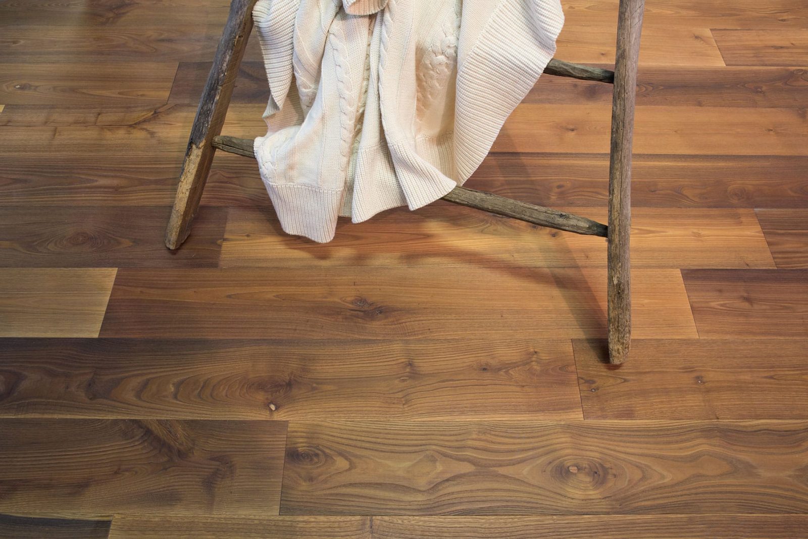 PROFILEGNO Castagno Delle Piccole Dolomiti 1