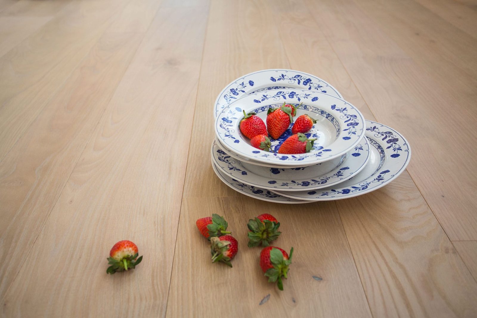 PROFILEGNO Castagno Delle Piccole Dolomiti 5