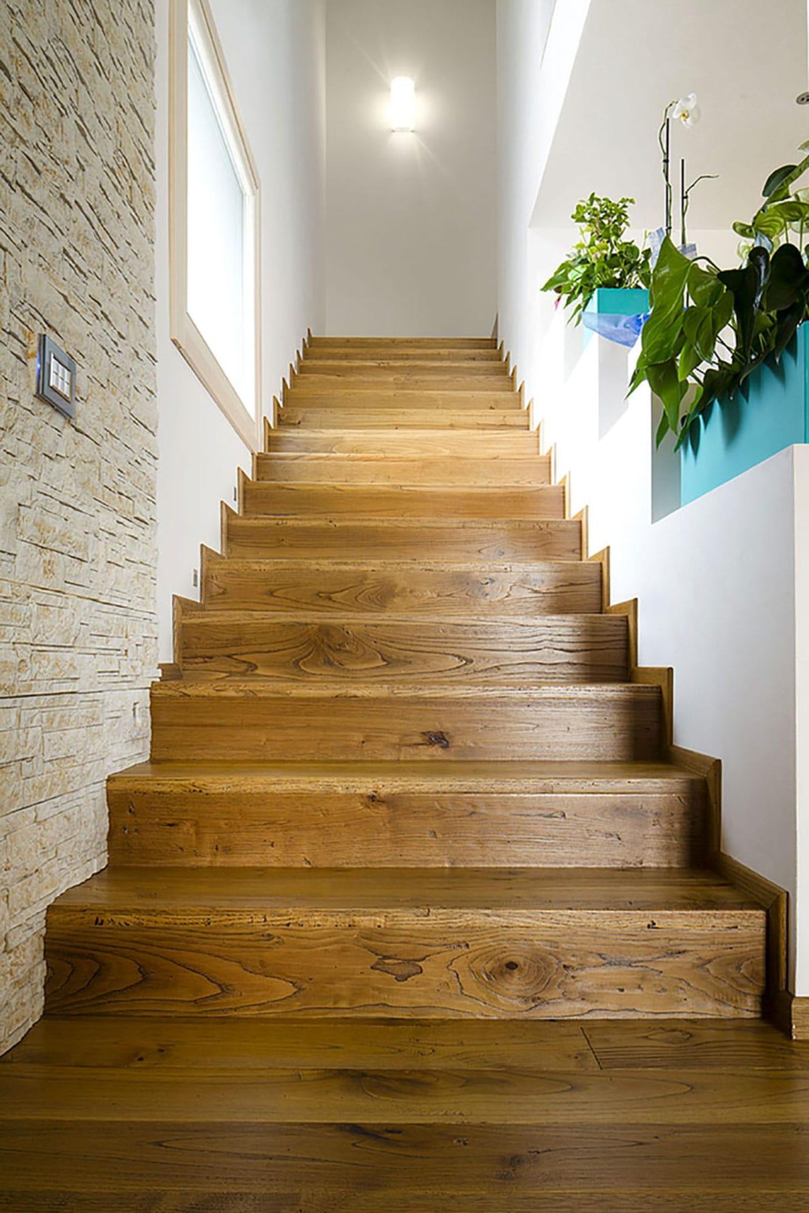 PROFILEGNO Castagno Delle Piccole Dolomiti 7