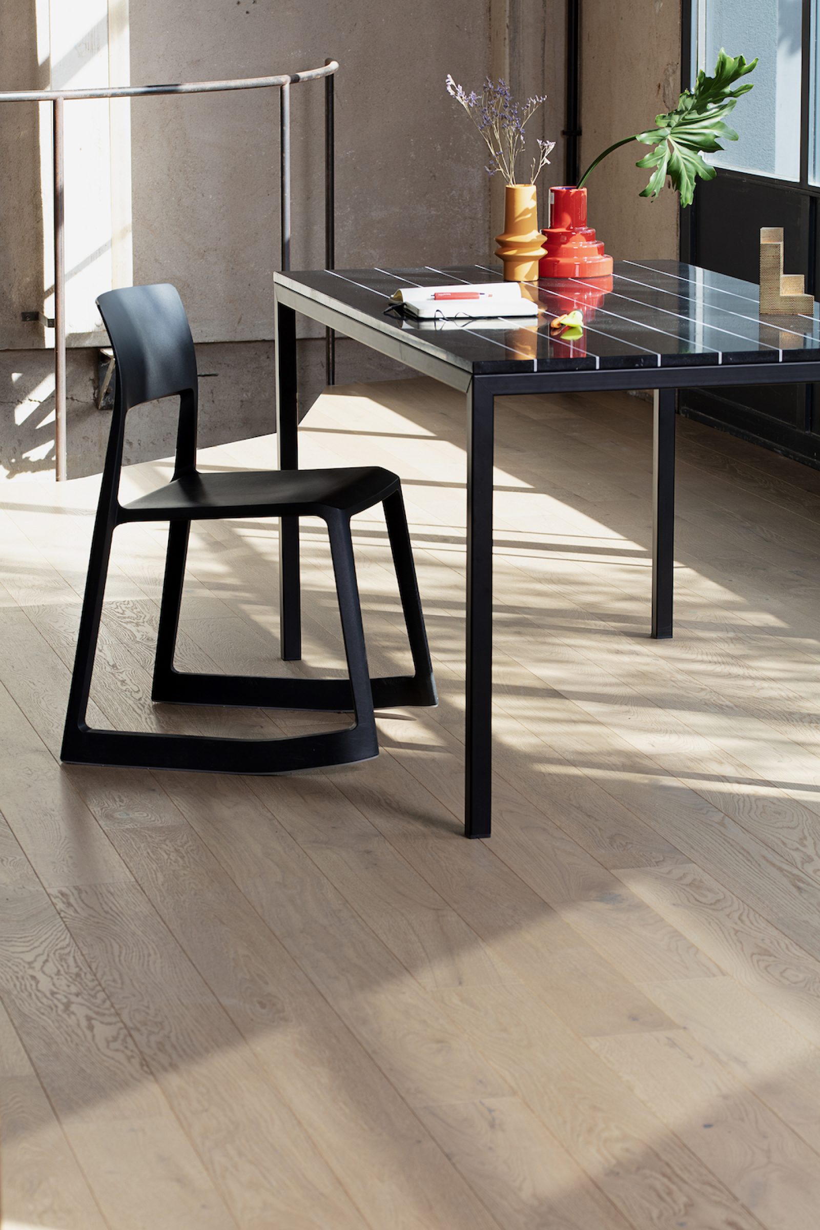 PROFILEGNO Coccinella 0