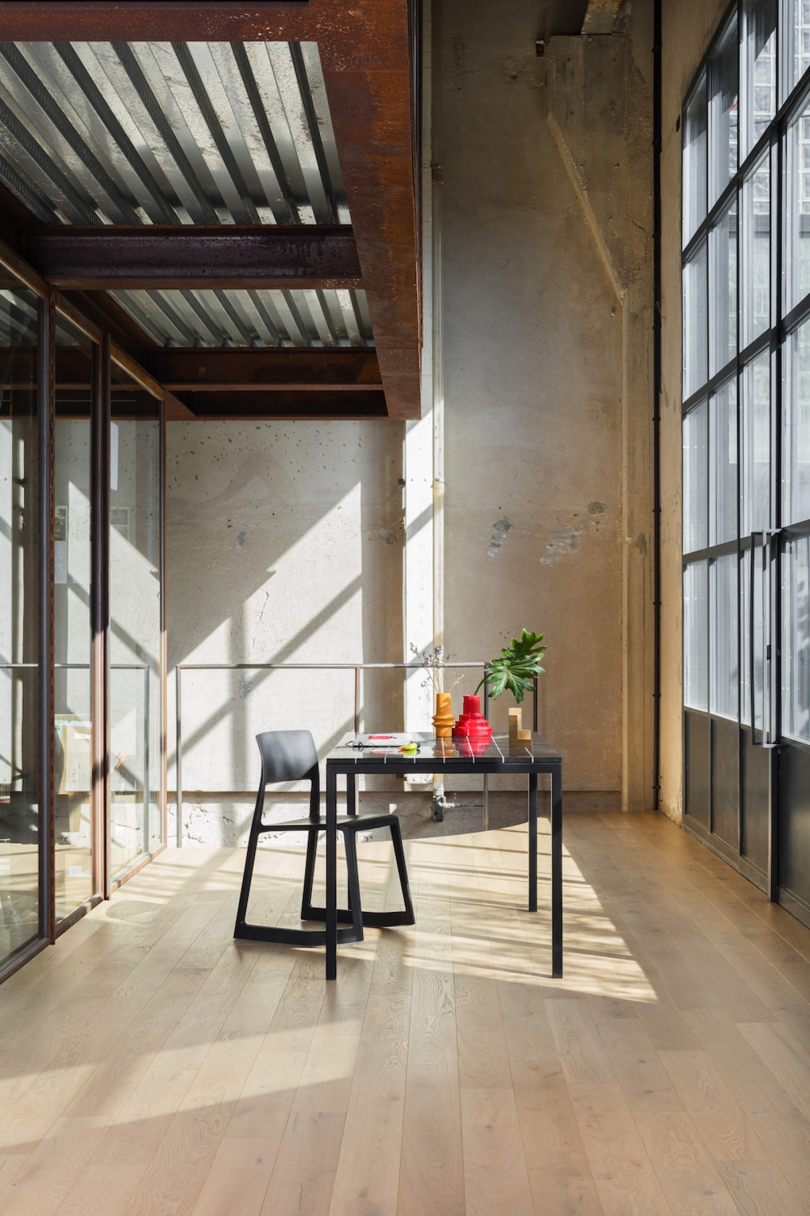 PROFILEGNO Coccinella 1