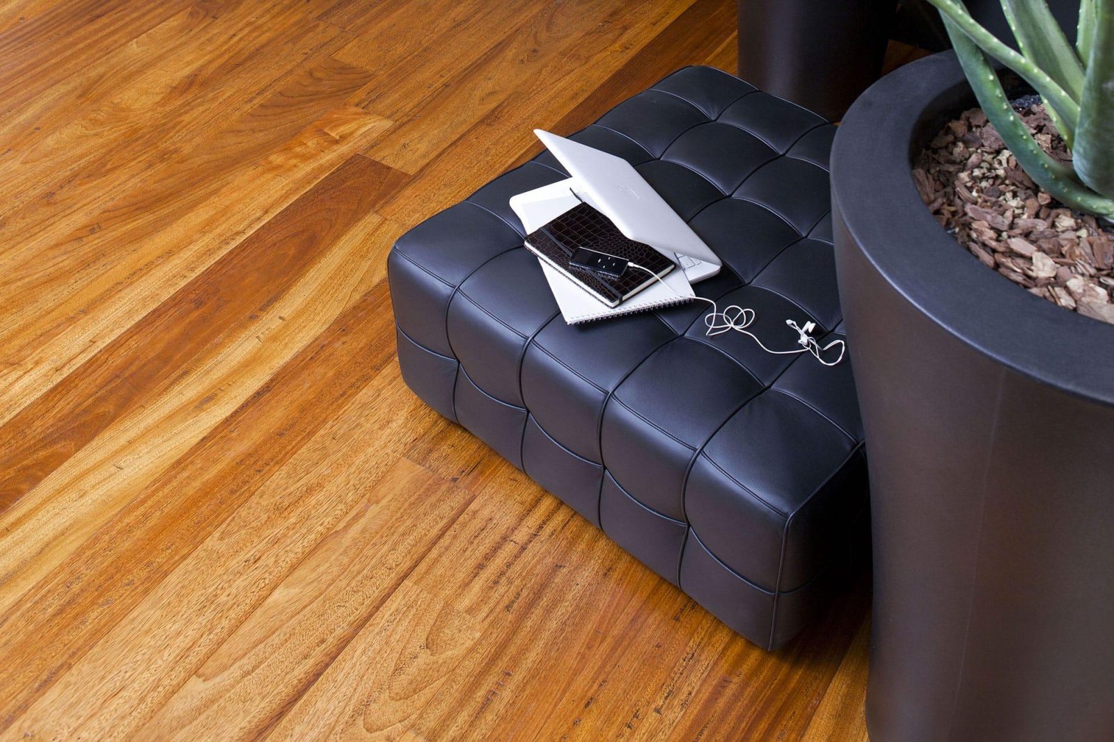 PROFILEGNO Doussie Africa 0