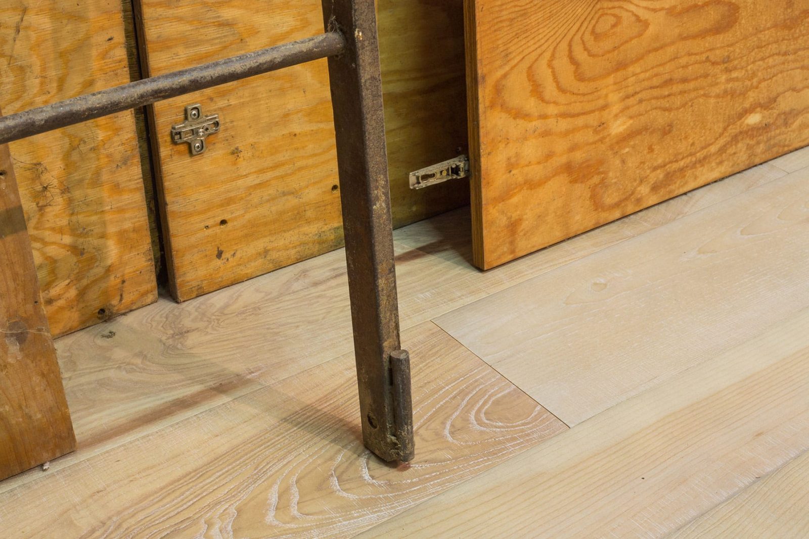 PROFILEGNO Frassino Maggiore Delle Piccole Dolomiti 2