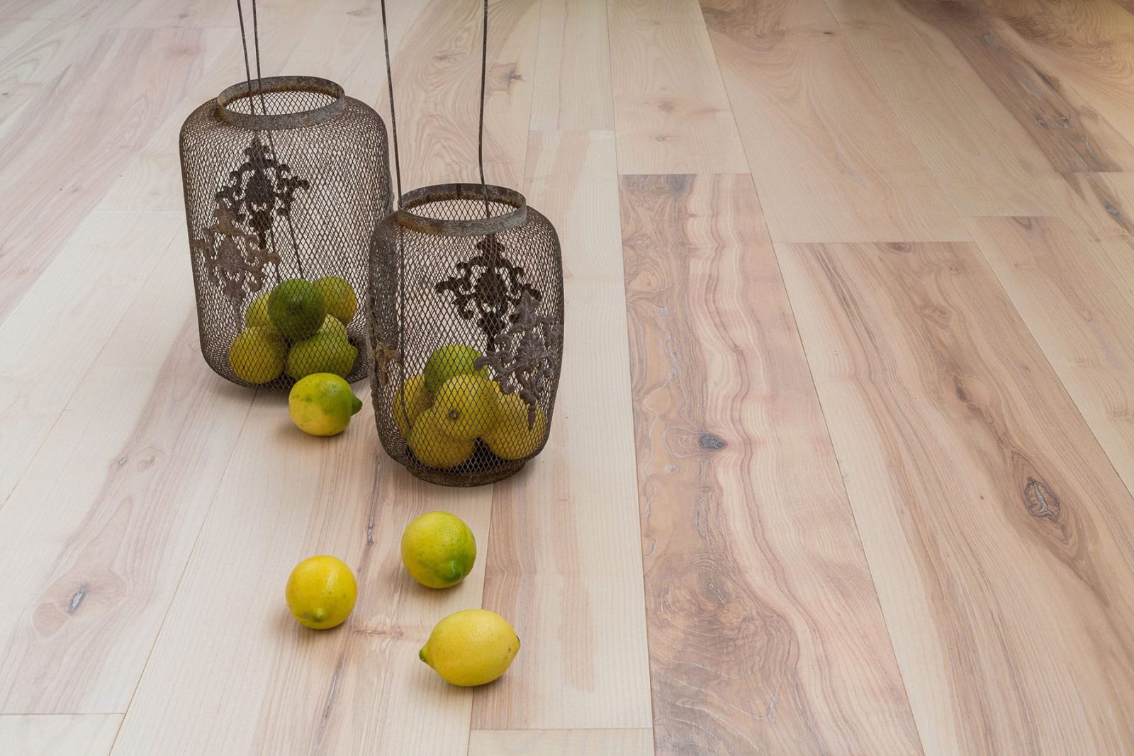 PROFILEGNO Frassino Maggiore Delle Piccole Dolomiti 4