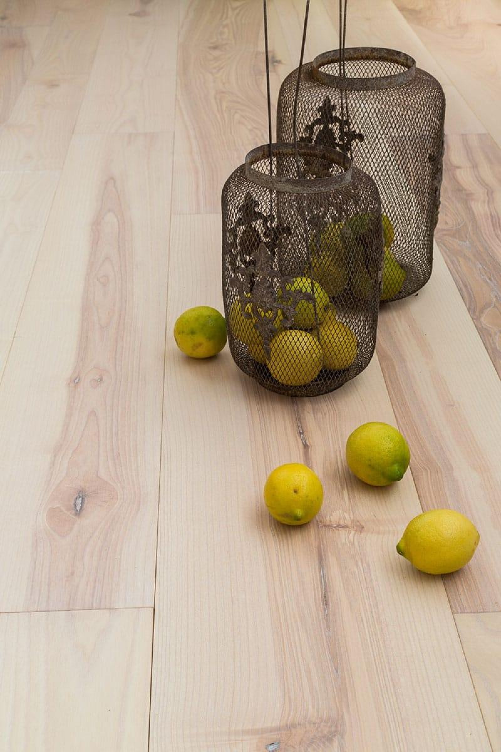 PROFILEGNO Frassino Maggiore Delle Piccole Dolomiti 5