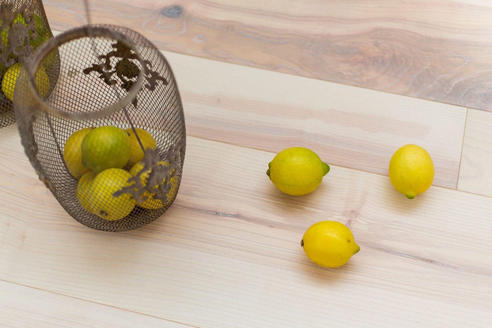 PROFILEGNO Frassino Maggiore Delle Piccole Dolomiti 6