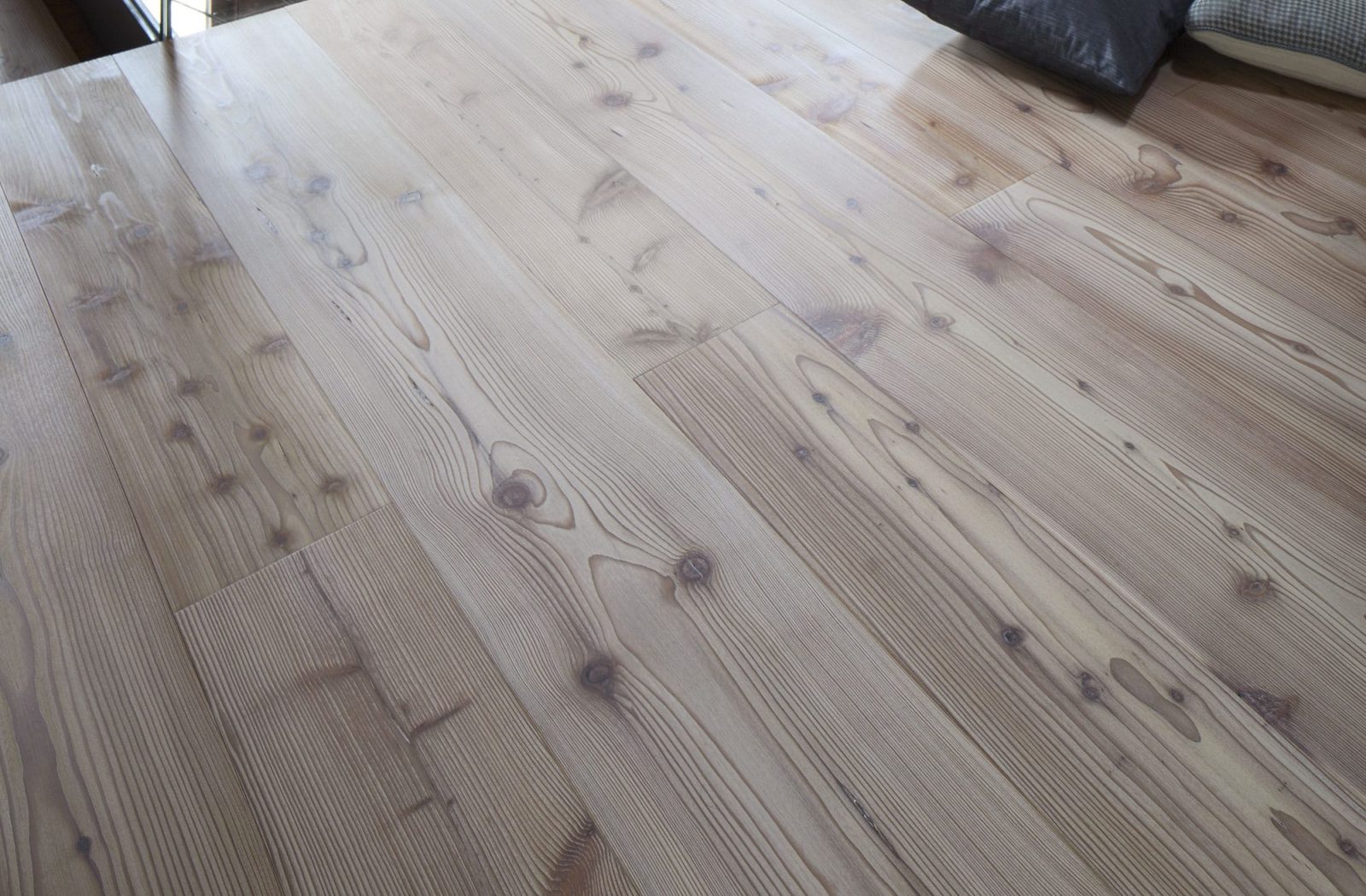 PROFILEGNO Larice Delle Dolomiti 0