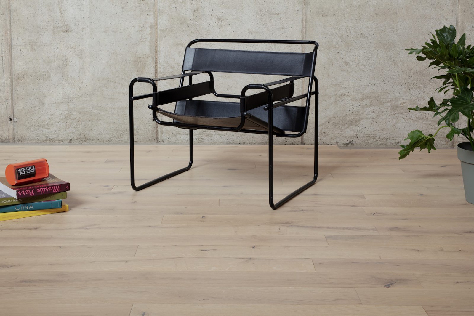 PROFILEGNO Libellula 0