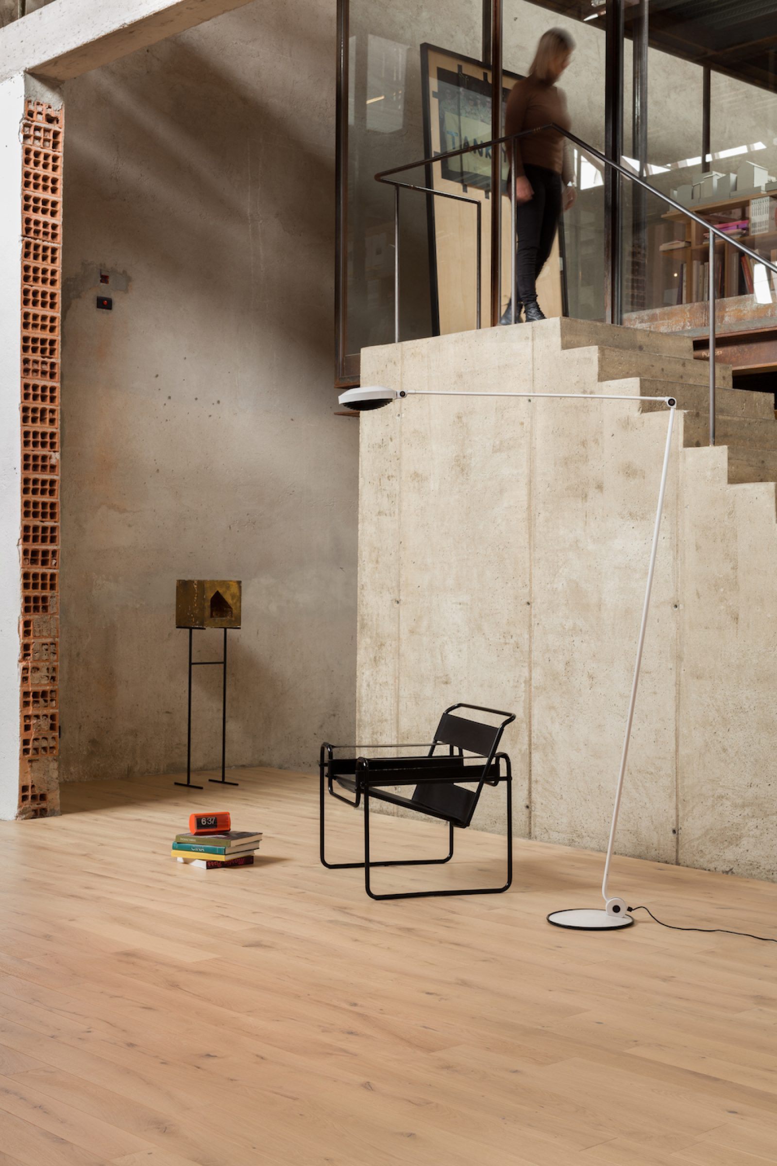 PROFILEGNO Libellula 1