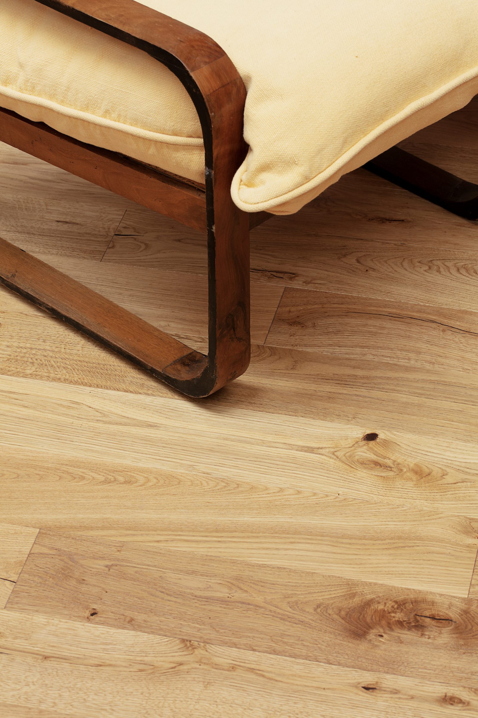 PROFILEGNO Maggiolino 1