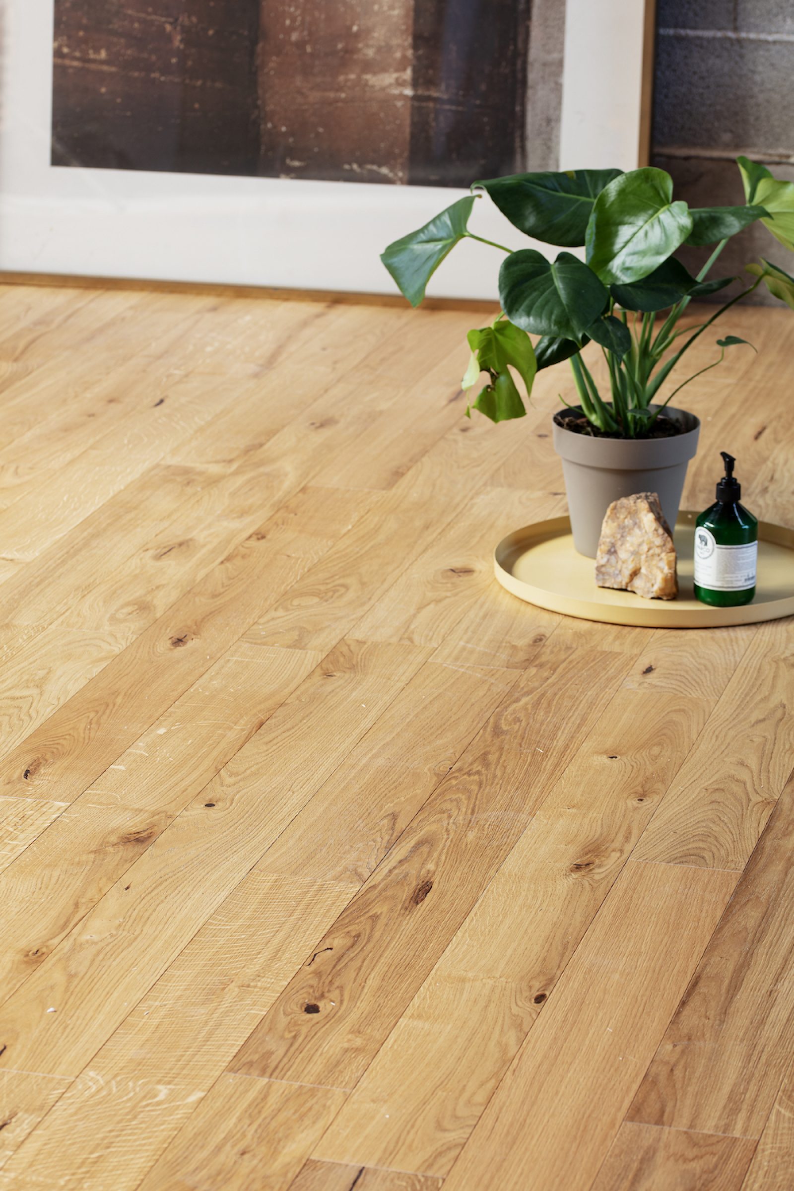 PROFILEGNO Maggiolino 4