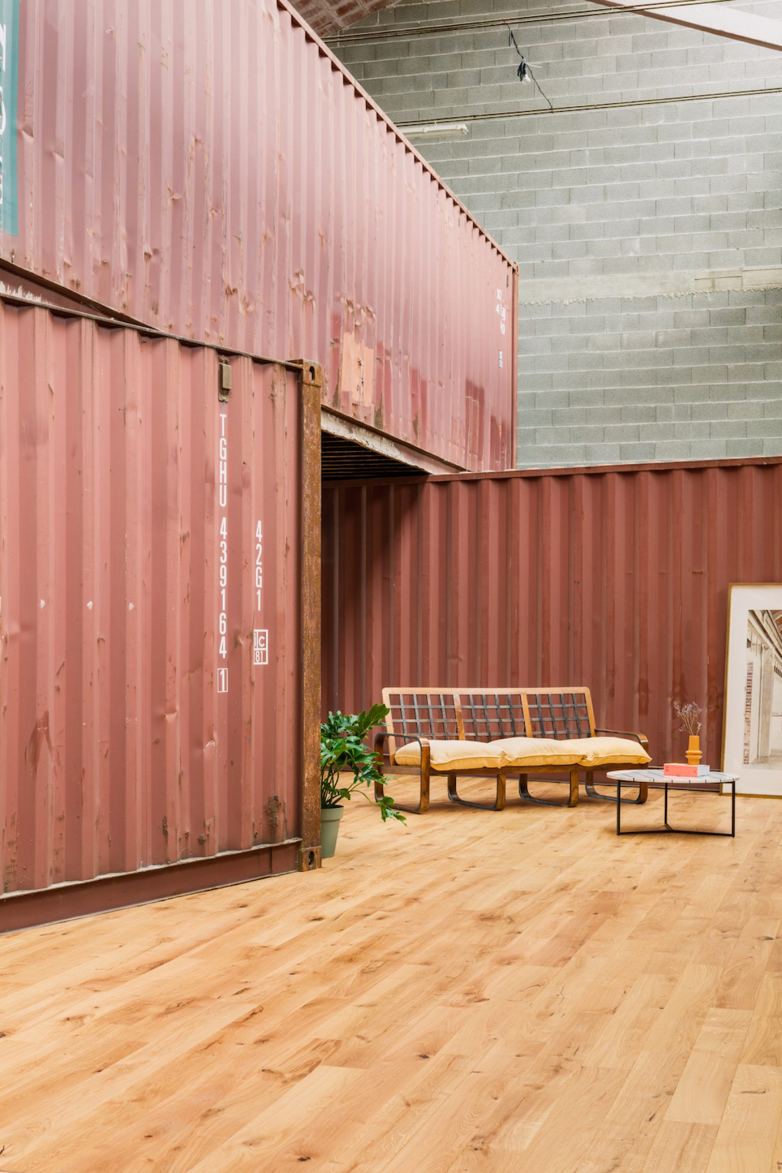 PROFILEGNO Maggiolino 5