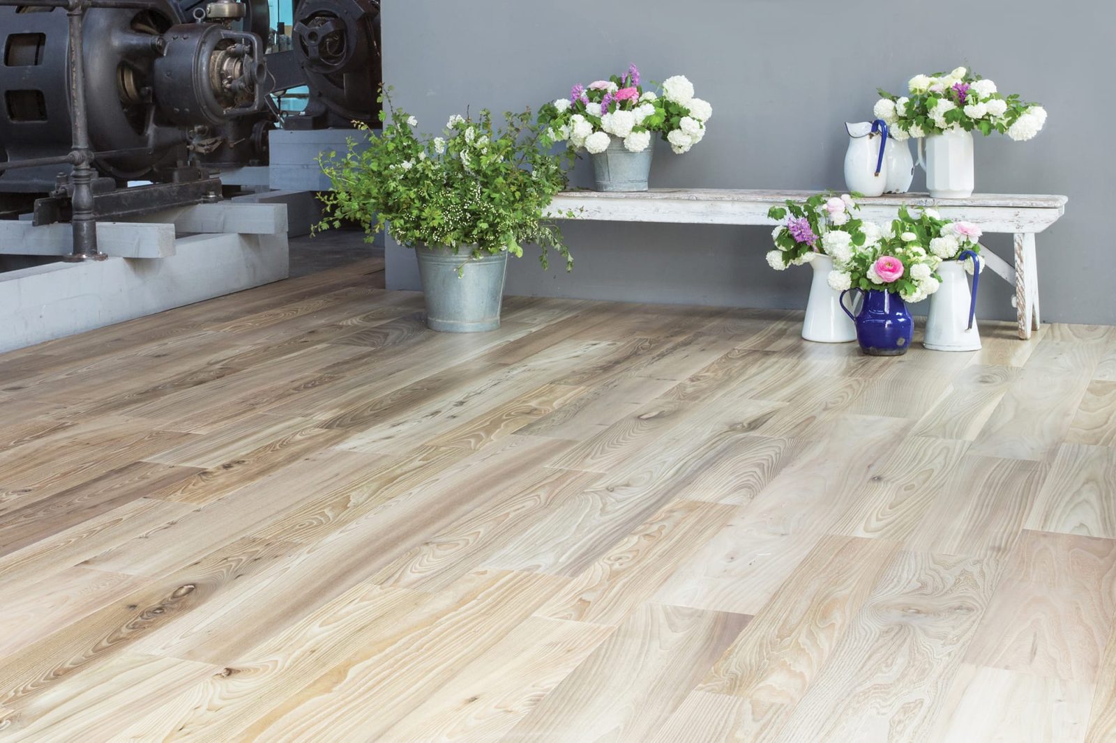 PROFILEGNO Olmo Europeo 0