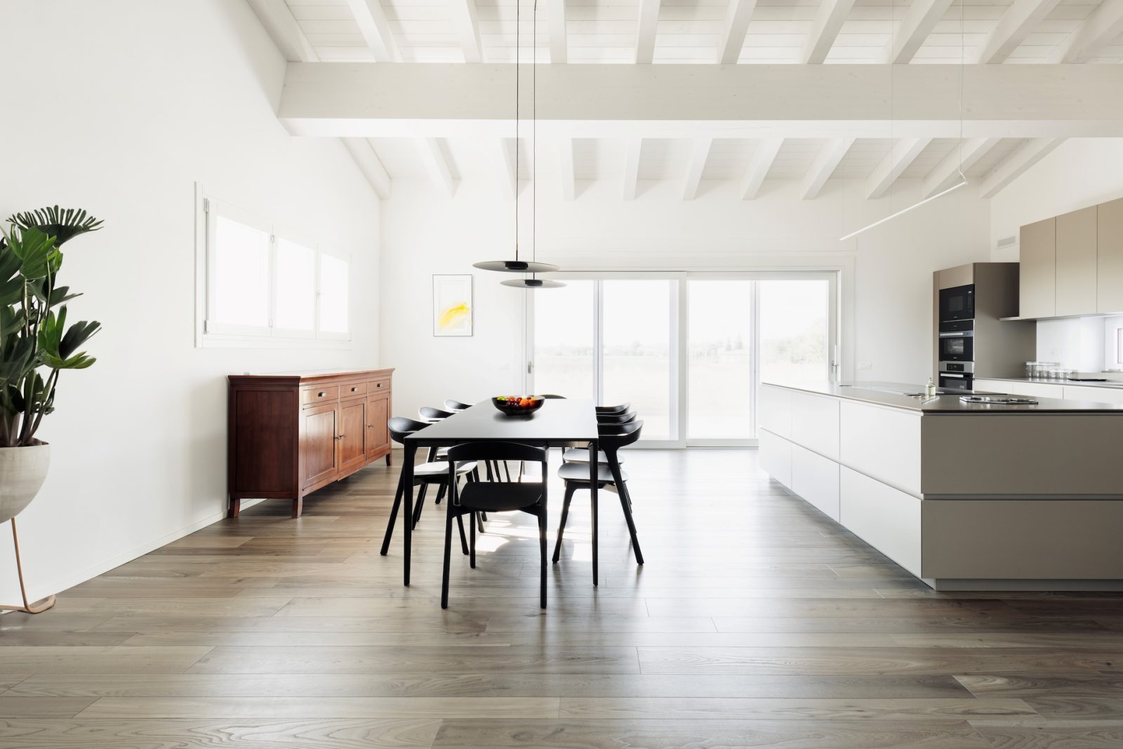 PROFILEGNO Olmo Europeo 2