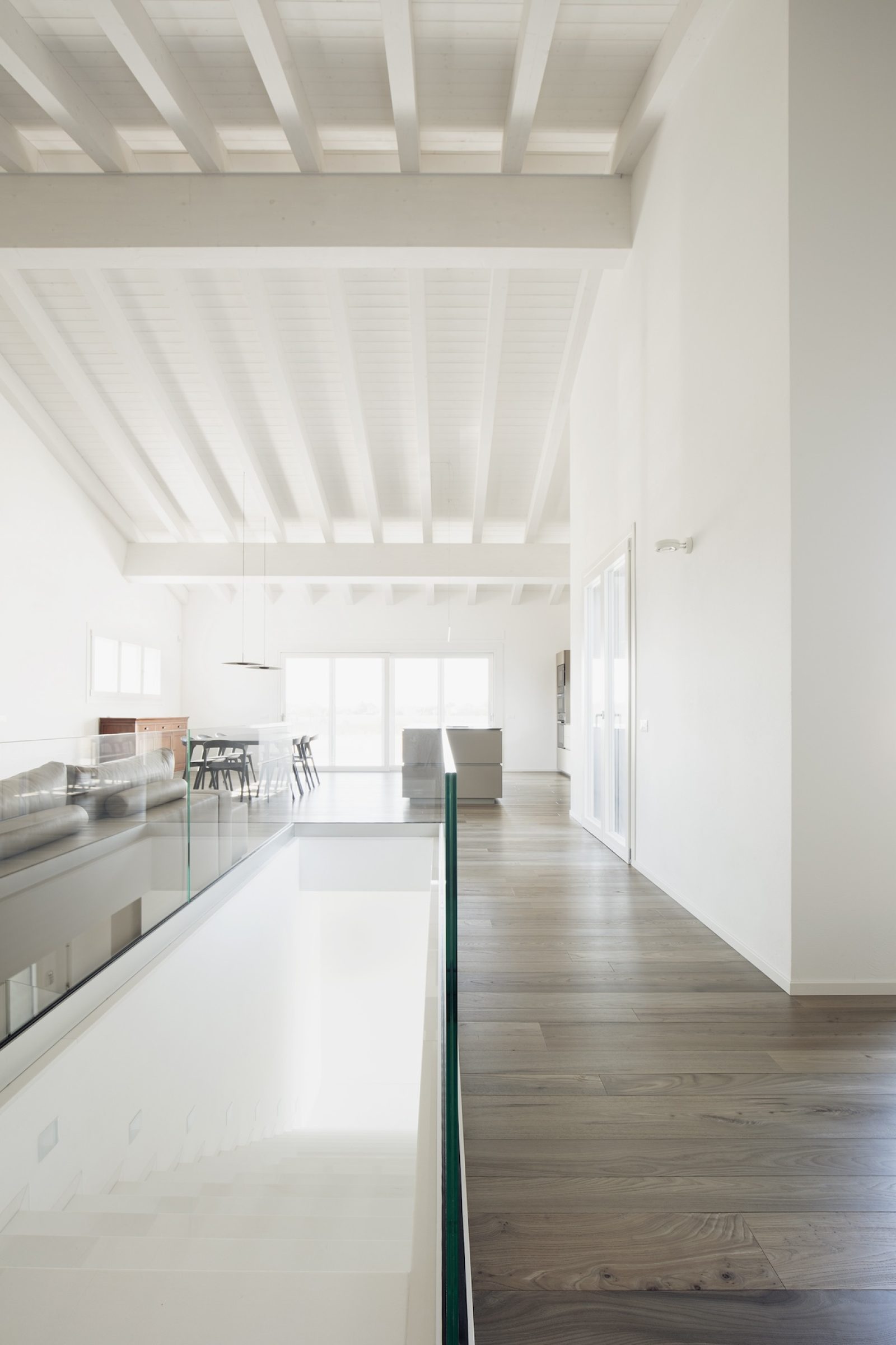 PROFILEGNO Olmo Europeo 3