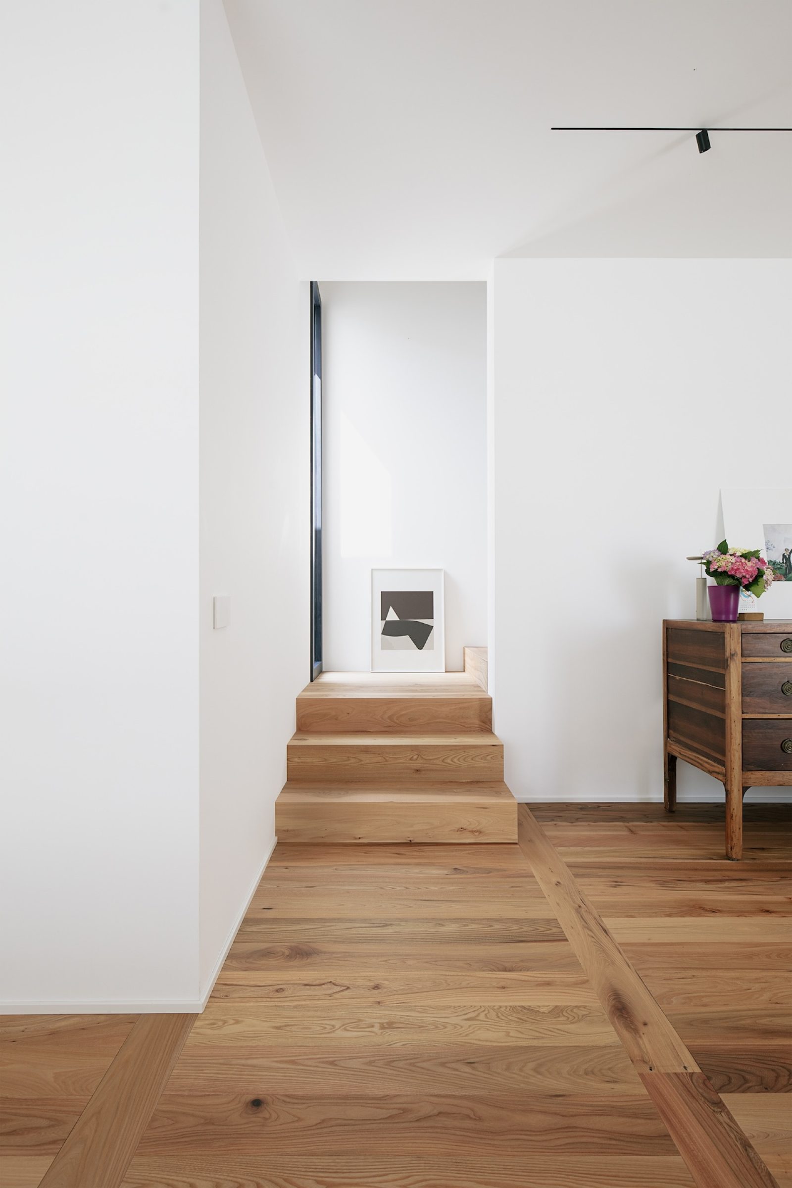 PROFILEGNO Olmo Europeo 5