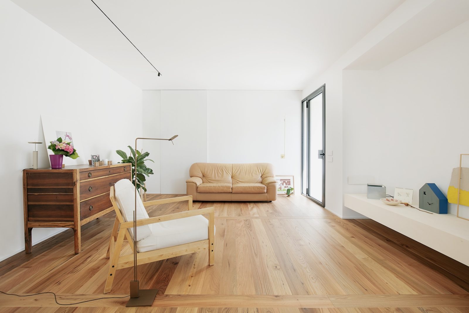 PROFILEGNO Olmo Europeo 7