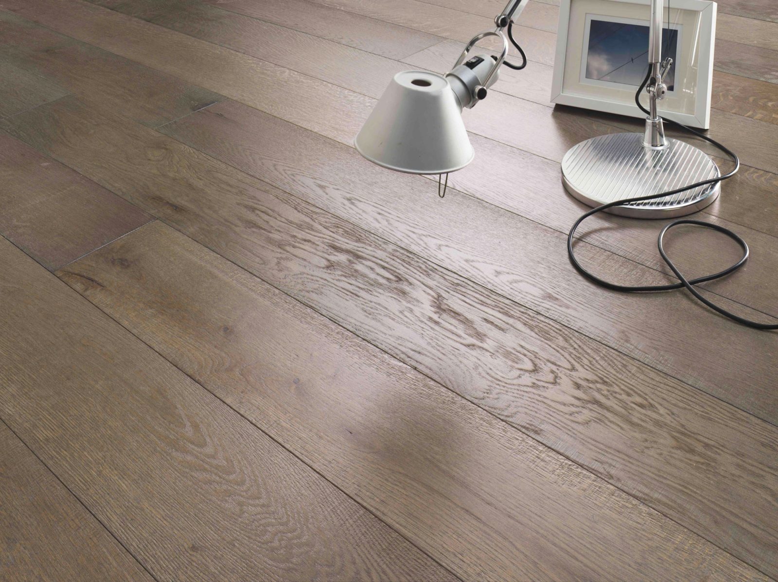 PROFILEGNO Rovere Europeo Camel 0