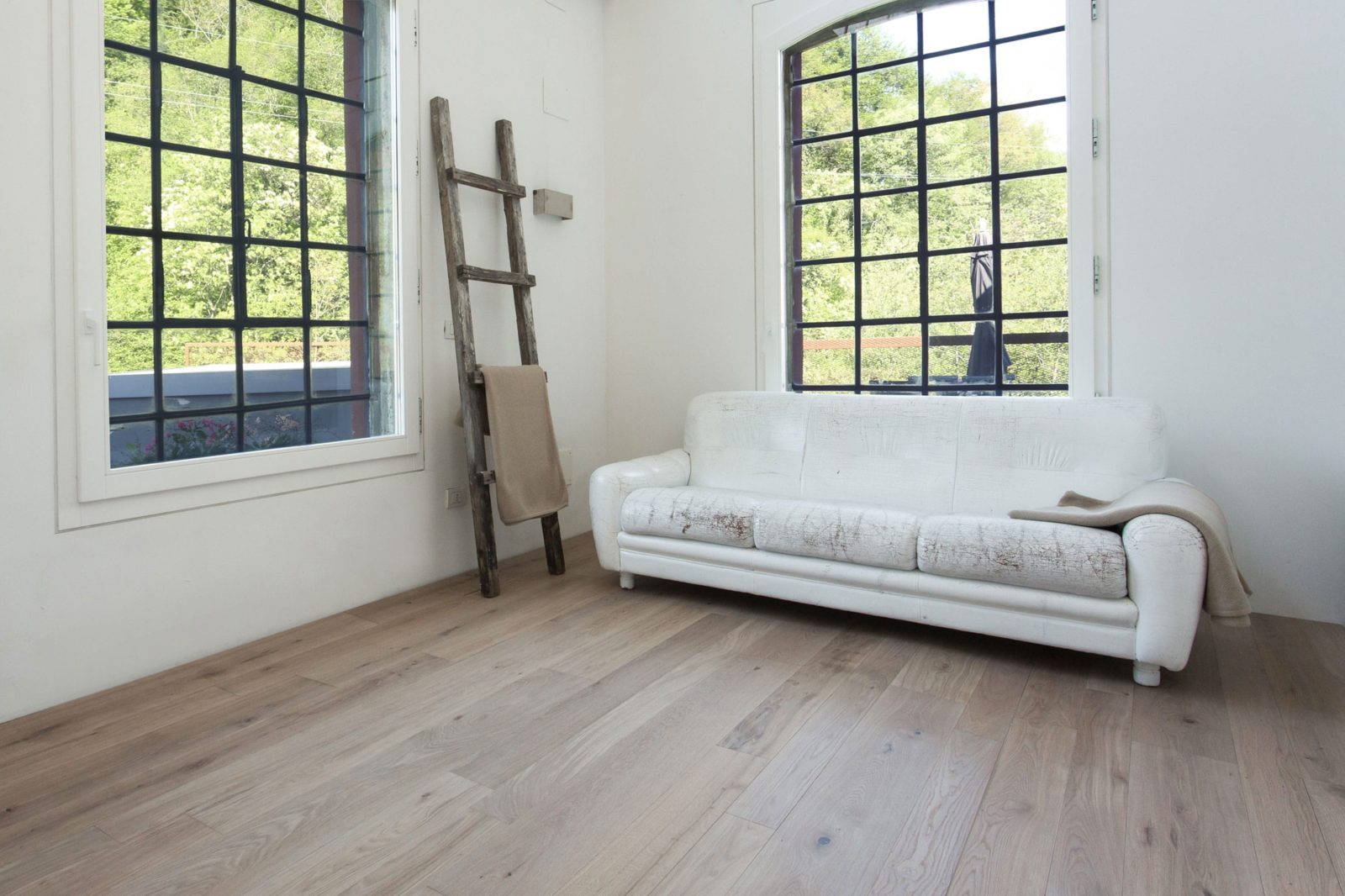 PROFILEGNO Rovere Europeo Cardamomo 3