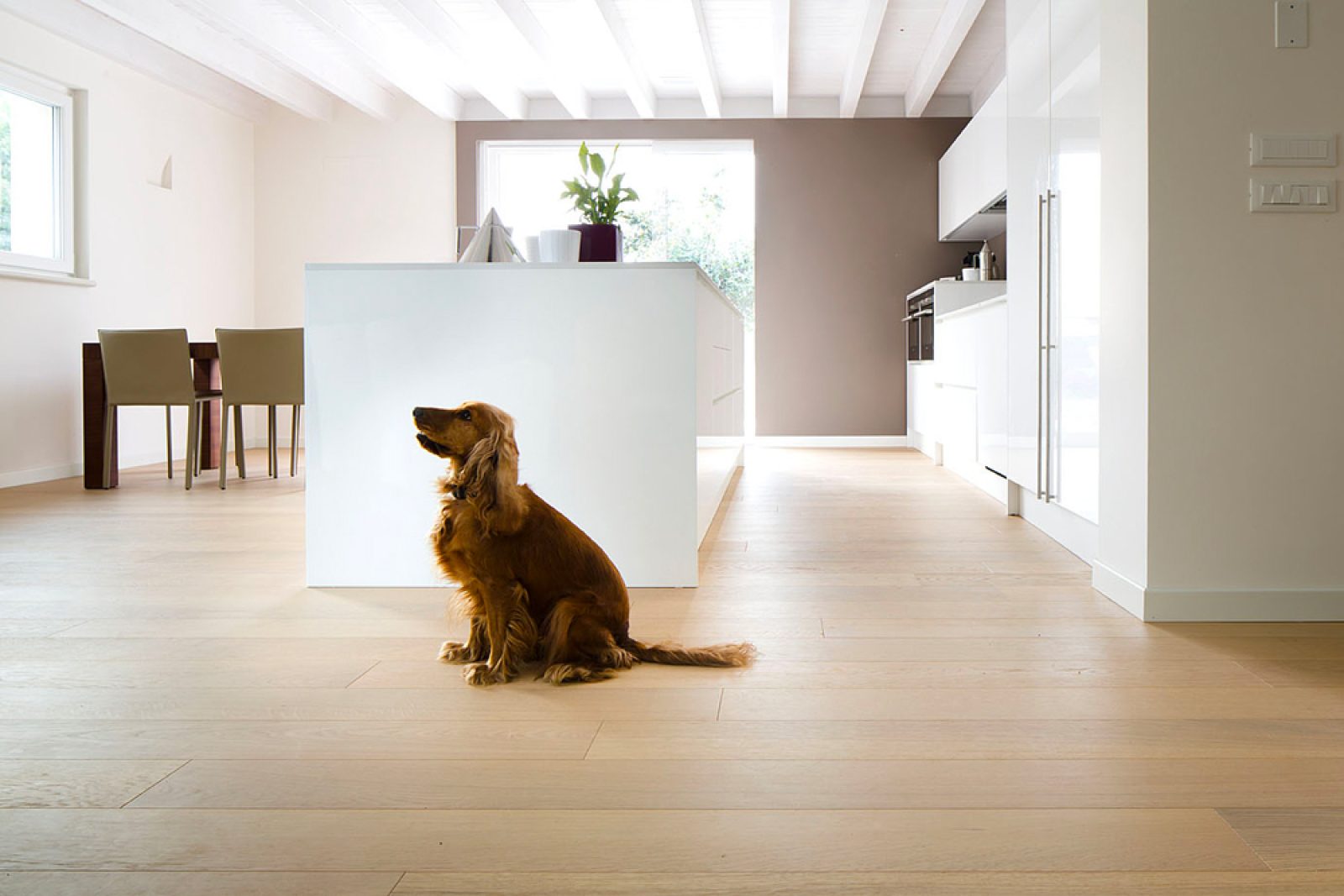 PROFILEGNO Rovere Europeo Duna 0