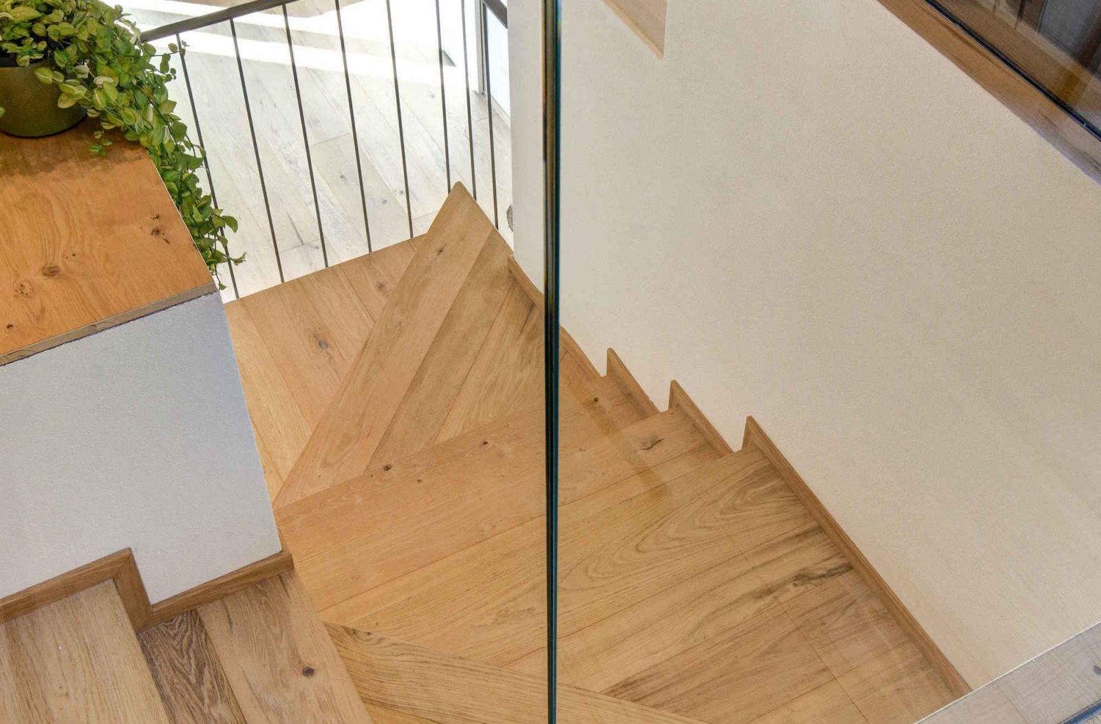 PROFILEGNO Rovere Vecchia Quercia 8