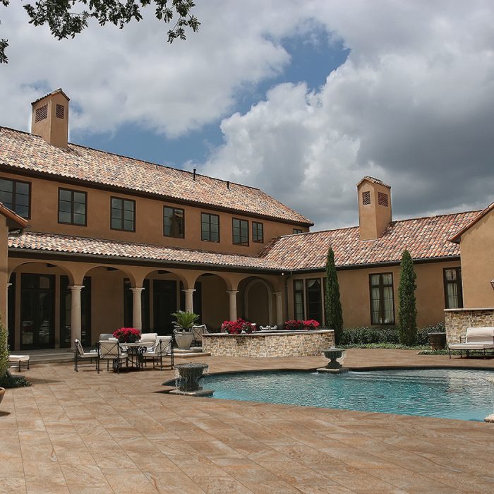 Cotto petrus Fossili Out Cotto Petrus