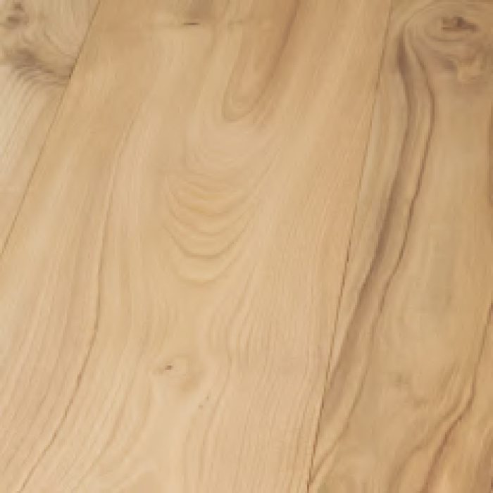 Castagno Delle Piccole Dolomiti