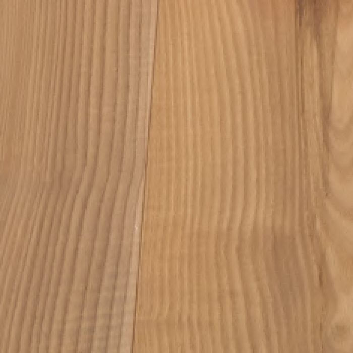 Frassino Maggiore Delle Piccole Dolomiti