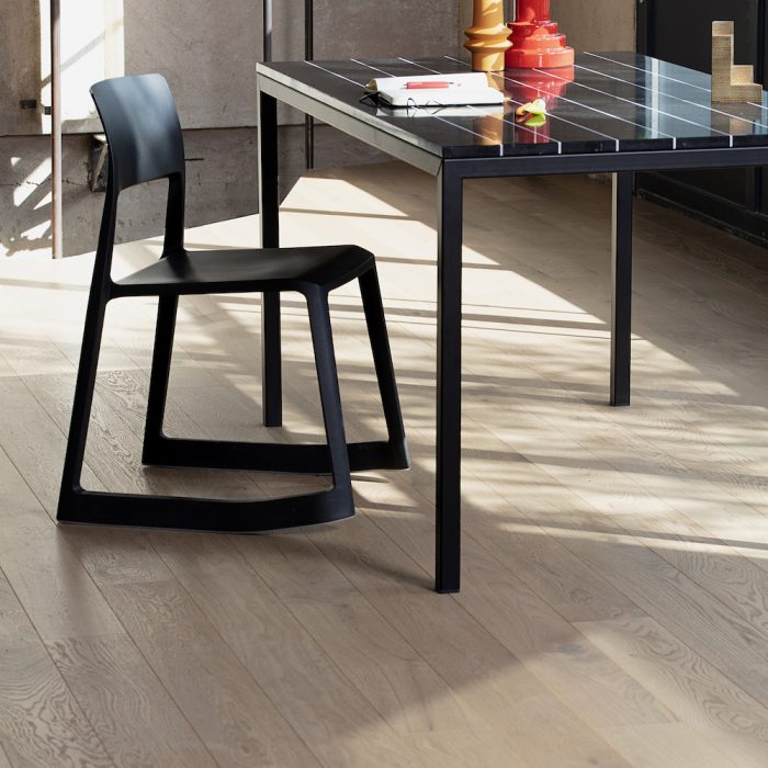 PROFILEGNO Coccinella 0