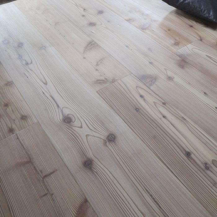 PROFILEGNO Larice Delle Dolomiti 0