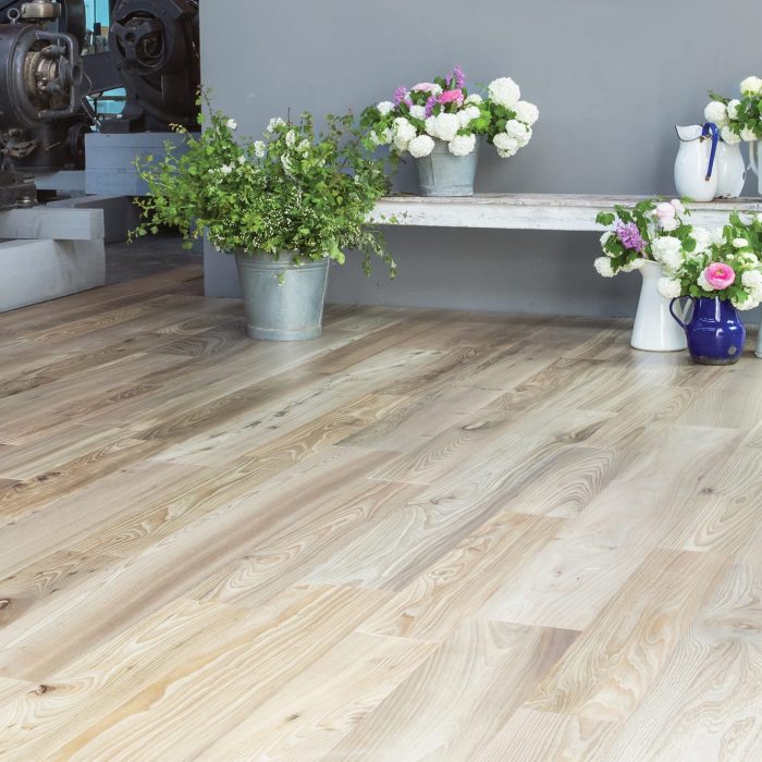 PROFILEGNO Olmo Europeo 0