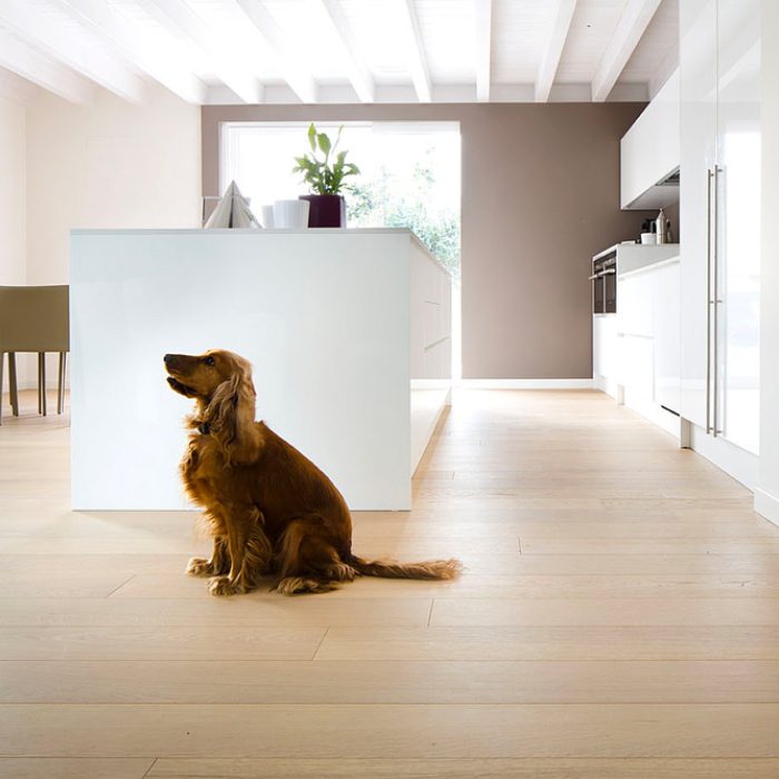 PROFILEGNO Rovere Europeo Duna 0